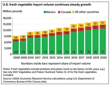 U.S. Fresh Vegetable